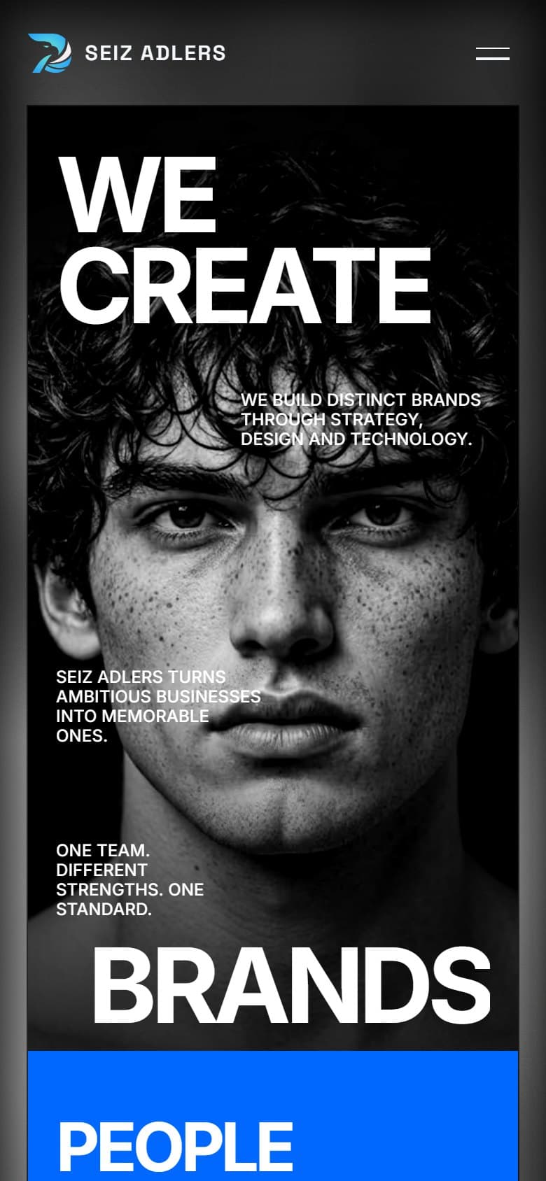 The Seiz Adlers homepage on a phone.